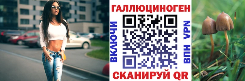 omg рабочий сайт  Тогучин  Галлюциногенные грибы GOLDEN TEACHER 